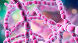 La OMS urge a crear una vacuna contra una bacteria mortal para miles de bebés