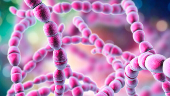 La OMS urge a crear una vacuna contra una bacteria mortal para miles de bebés