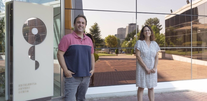 Investigadores españoles descubren cómo hacer frente a la metástasis del melanoma