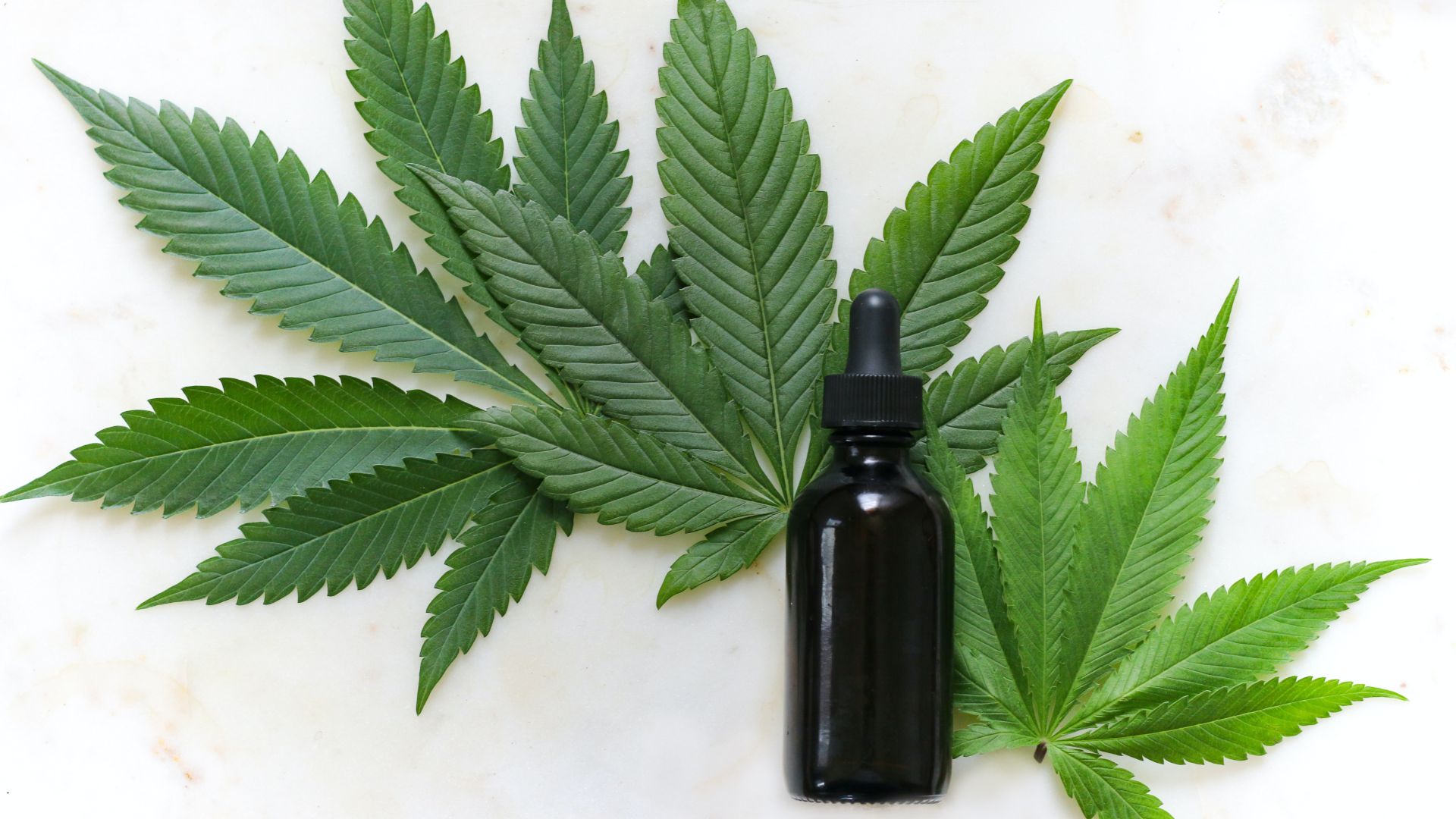 La legalización del cannabis