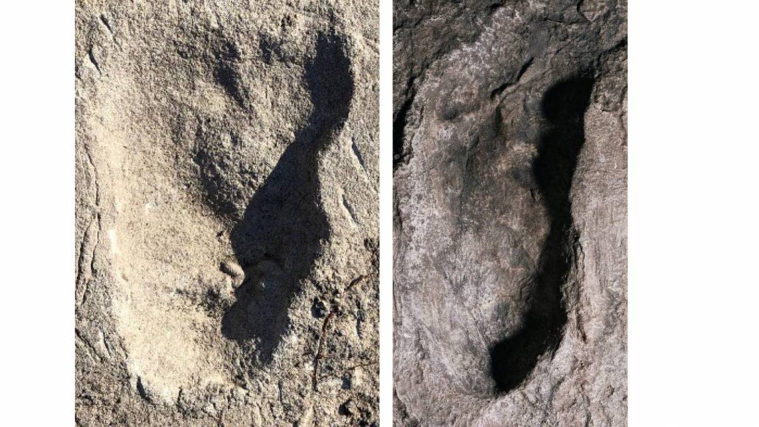 Un misterioso homínido dejó sus huellas hace más de tres millones de años en Tanzania