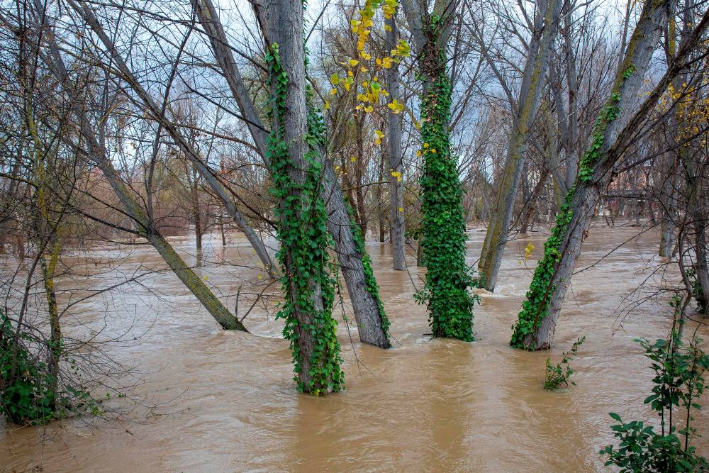 La crecida del Ebro provoca inundaciones en Navarra y Logroño