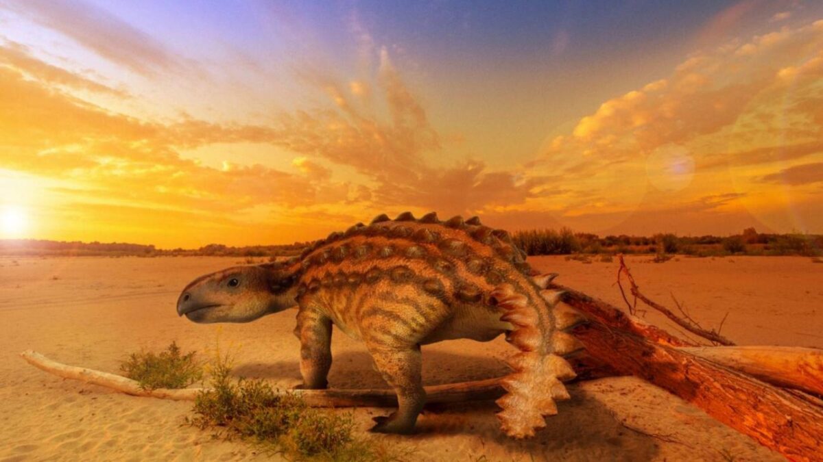 El dinosaurio ‘blindado’ que sacude la paleontología chilena