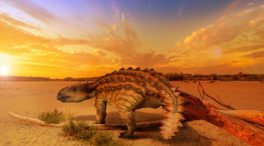 El dinosaurio ‘blindado’ que sacude la paleontología chilena