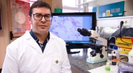 (ENTREVISTA) Estanislao Nistal, virólogo: "Con ómicron, la enfermedad puede ser más leve y reducir el tiempo que transmitimos el virus"
