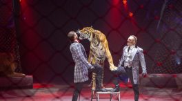 El Parlamento Europeo debate prohibir el uso de animales salvajes en los circos