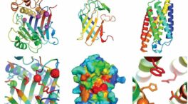 Los diez grandes descubrimientos científicos del 2021, según la revista 'Science'