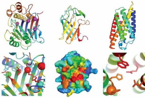 Los diez grandes descubrimientos científicos del 2021, según la revista 'Science'