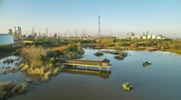 Naturaleza e industria se reconcilian en la Laguna Primera de Palos