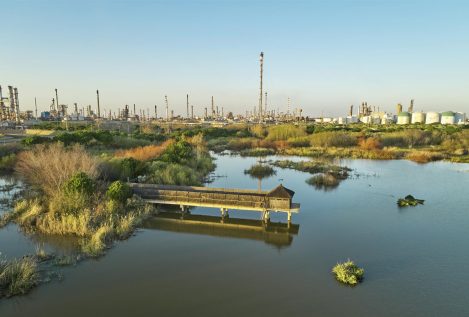 Naturaleza e industria se reconcilian en la Laguna Primera de Palos