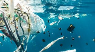 El año en que dijimos adiós a las pajitas de plástico