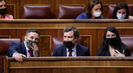 Vox tumba la declaración institucional del SIDA en el Congreso: "No apoyamos ni firmamos nada de la Agenda 2030"