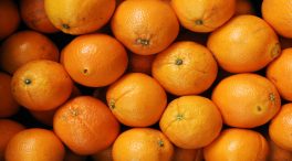 Vox reclama a la UE un «arancel verde» para los alimentos que lleguen del extranjero