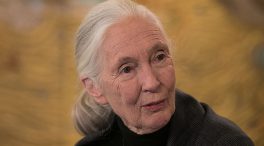 Jane Goodall respalda a Garzón y pide que más políticos se pronuncien contra la ganadería intensiva