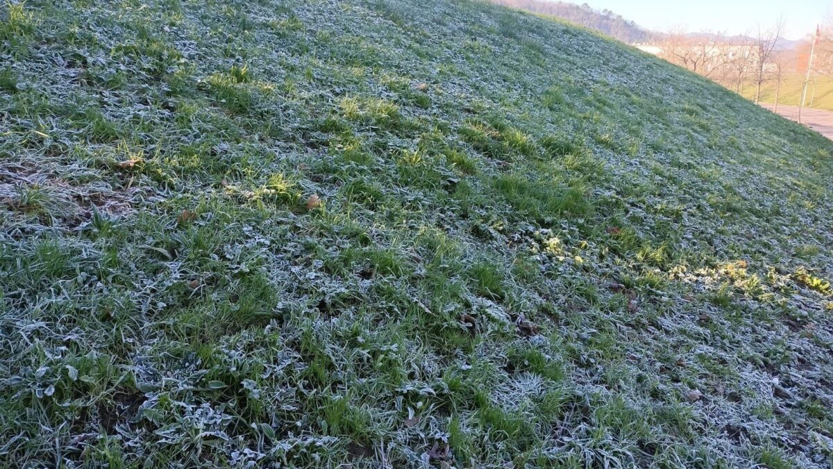 Sol y frío con heladas intensas en gran parte del interior peninsular