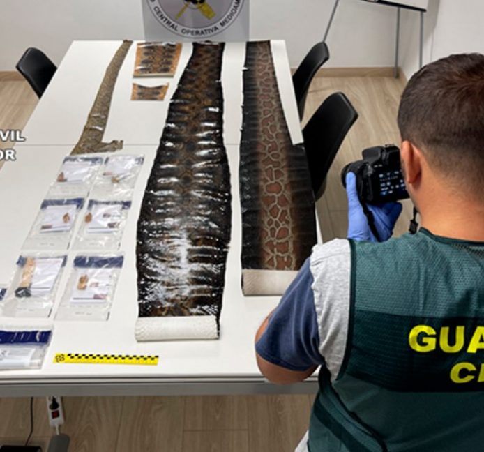 Investigadas nueve personas por tráfico de animales y marfil en País Vasco y Cantabria