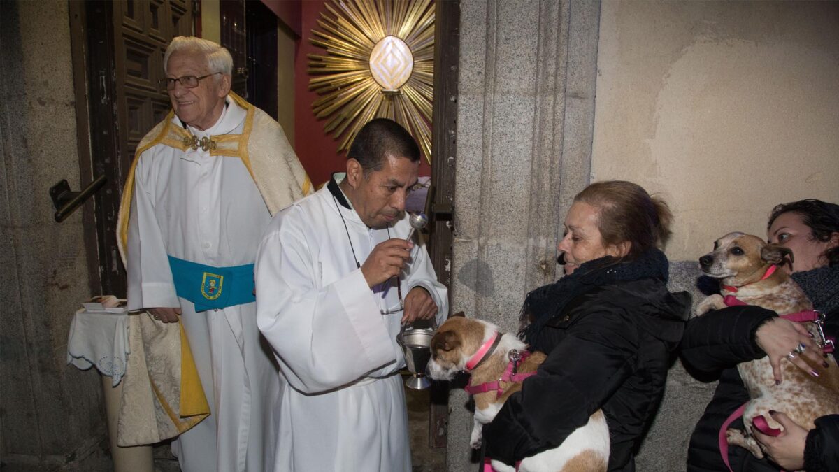 El Padre Ángel bendecirá animales este domingo en la Fundación Arca de Noé por la festividad de San Antón