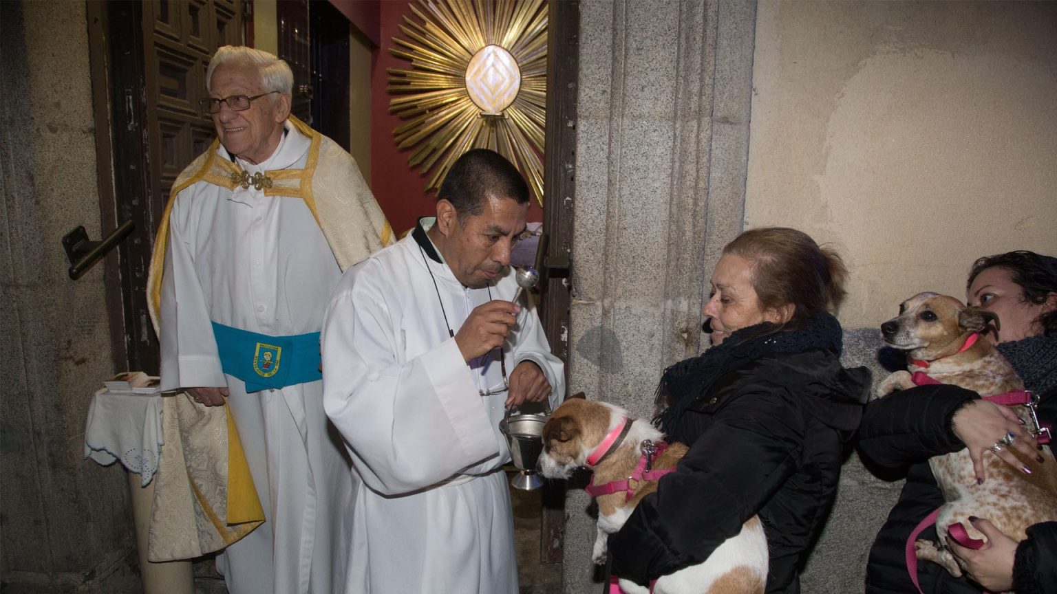 El Padre Ángel bendecirá animales este domingo en la Fundación Arca de Noé por la festividad de San Antón