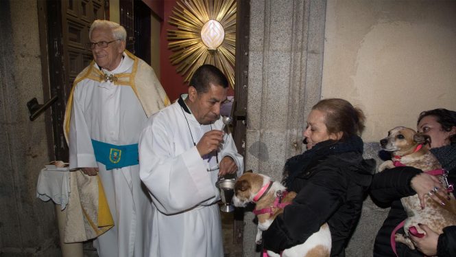 El Padre Ángel bendecirá animales este domingo en la Fundación Arca de Noé  por la festividad de San Antón