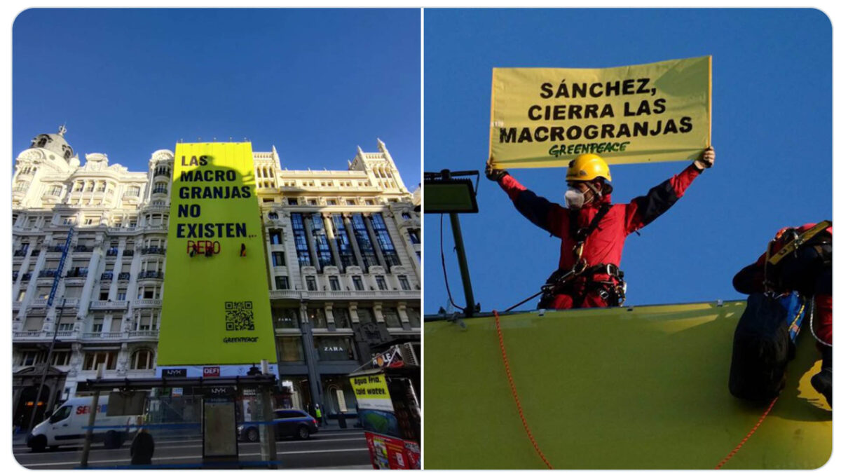 Greenpeace exige a Sánchez el cierre de las macrogranjas que «no» existen con una protesta en Gran Vía