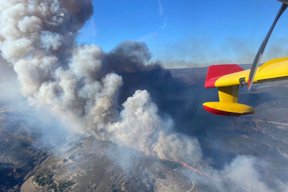 El primer gran incendio del año quema ya 1.600 hectáreas en Zamora y Portugal