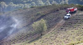 2021 concluye con 28 detenidos o investigados por la Guardia Civil por incendios forestales en Galicia