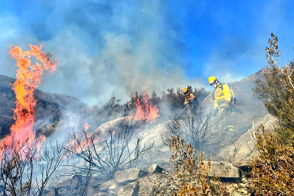 Controlado el incendio entre Zamora y Portugal tras arrasar 2.178 hectáreas