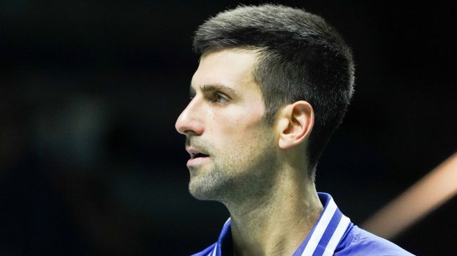Varios miembros de Vox respaldan a Djokovic: «Ha demostrado ser un tío con principios»