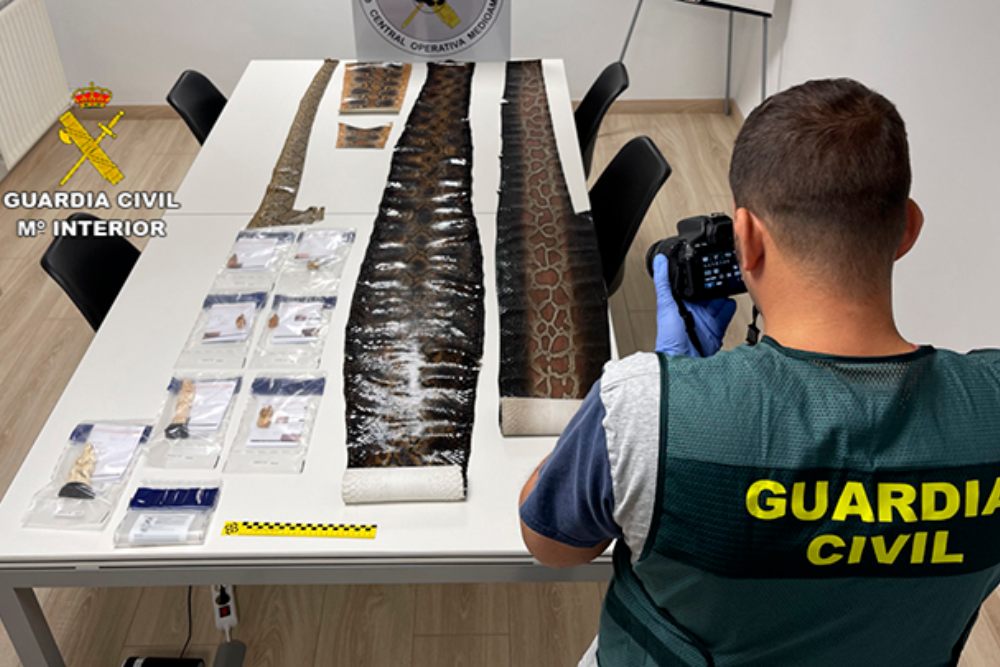 Investigadas nueve personas por tráfico de animales y marfil en País Vasco y Cantabria