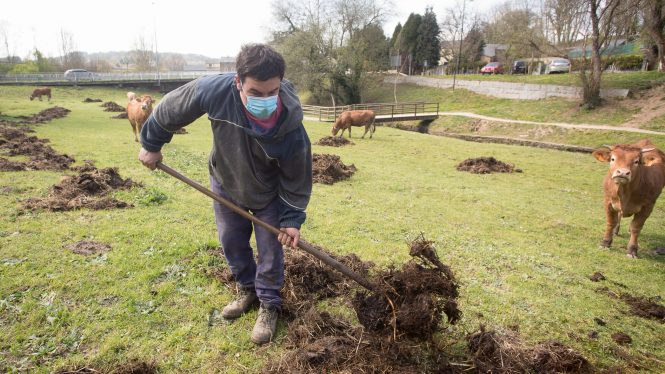 Miedo a la autoridad