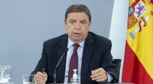 Planas se enfrentó a Garzón en Moncloa para afearle sus palabras «desafortunadas»