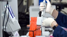 Un virus puede ser la principal causa de la esclerosis múltiple