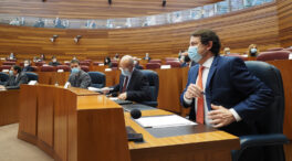 Hasta 29 listas se presentarán a las elecciones de Castilla y León, aunque solo 7 en todas las provincias