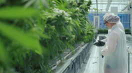 El parlamento de Polonia debate una ley para despenalizar el uso recreativo del cannabis