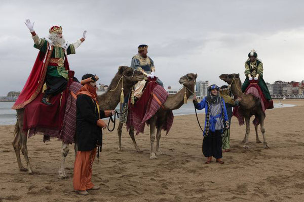 Los animalistas, en contra de utilizar animales en las cabalgatas de Reyes: «No es educativo»
