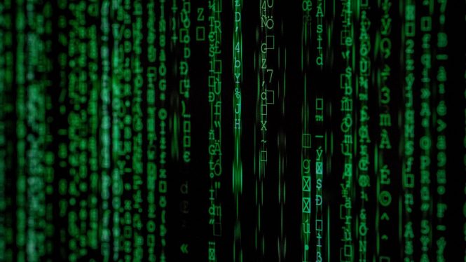 Algoritmo: palabra del siglo, si la pandemia lo permite