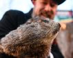 Muere la marmota Milltown Mel la víspera del Día de la Marmota