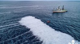 Conmoción en Francia después de que un buque arrojase 100.000 peces muertos al Atlántico