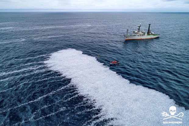 Conmoción en Francia después de que un buque arrojase 100.000 peces muertos al Atlántico