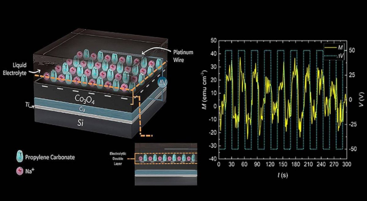 Sistemas magnetoiónicos reproducen funciones de aprendizaje y olvido del cerebro