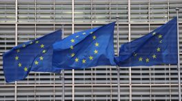 Europa pide investigar una cepa de salmonella vinculada con granjas españolas