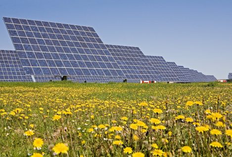 Acciona Energía compra un proyecto fotovoltaico en Estados Unidos de 400 millones