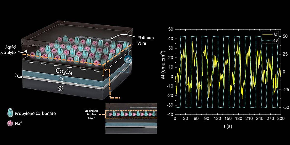 Sistemas magnetoiónicos reproducen funciones de aprendizaje y olvido del cerebro