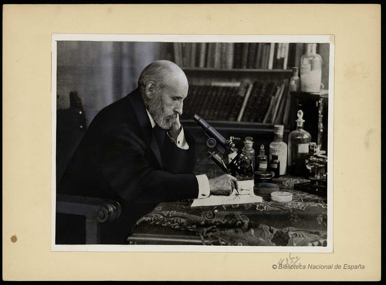 Ramón y Cajal merece un museo a la altura de su legado