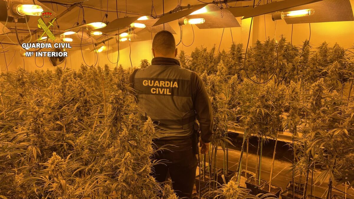 Detenida una septuagenaria en Toledo por cultivo de marihuana