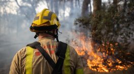 Los bomberos trabajan en un incendio forestal en Roses