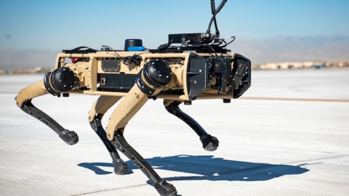 Estados Unidos plantea el uso de perros robot para patrullar la frontera con México