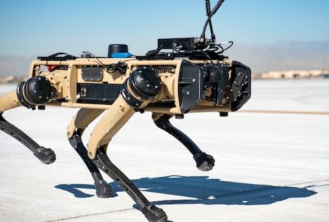 Estados Unidos plantea el uso de perros robot para patrullar la frontera con México