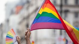 El Parlamento de Nueva Zelanda prohíbe las terapias de conversión sexual