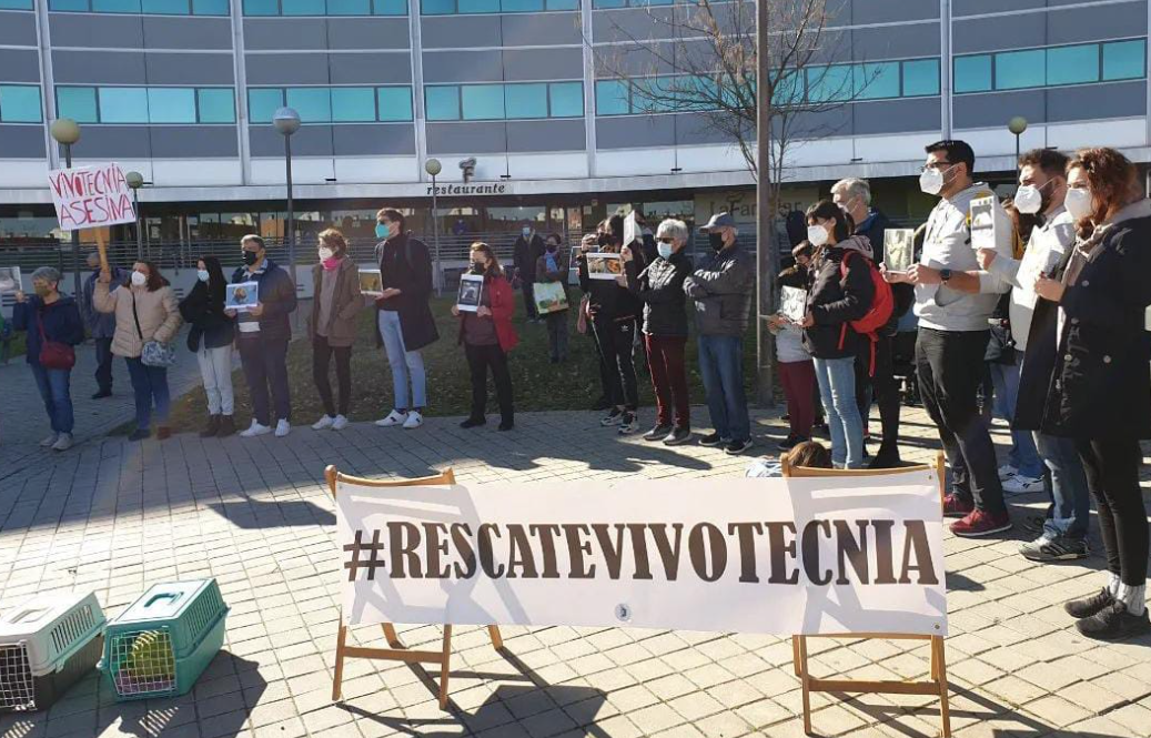 Un grupo de animalistas piden paralizar un experimento en el que se sacrificarán a 38 cachorros